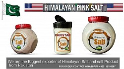 Pink Salt export from Pakistan to USA, Himalayan pink salt import export Pakistan price, Pink salt import export Pakistan 2026, Pink Salt wholesale price in Pakistan, PINK SALT HS Code in Pakistan, How to export Pink salt from Pakistan, Pink Salt export from Pakistan to uae, Salt export from Pakistan to India,